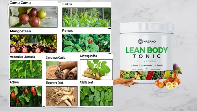 Nagano Lean Body Tonic Ingredients